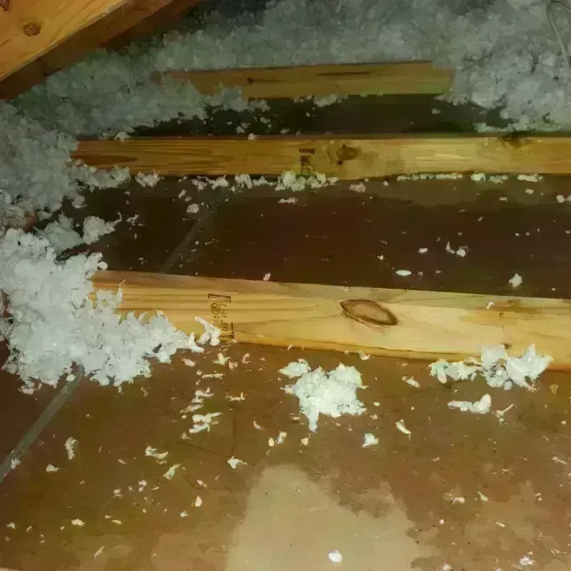 Attic Water Damage in Everman, TX