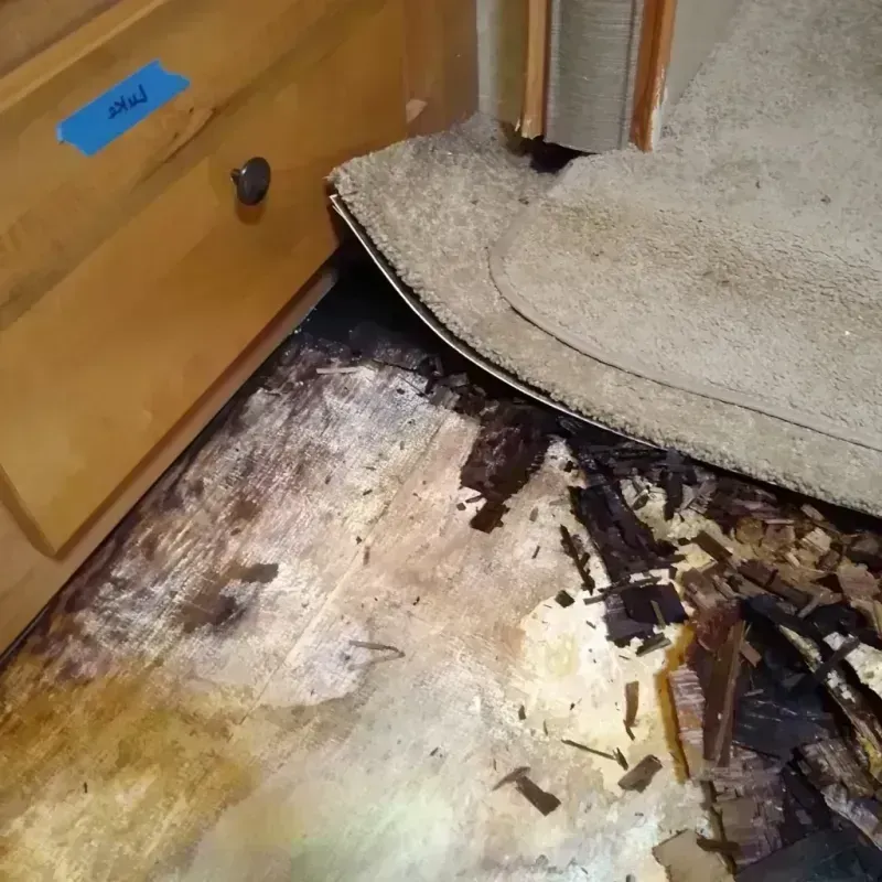 Wood Floor Water Damage in Everman, TX